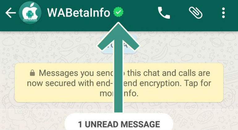 whatsapp-verificado.jpg