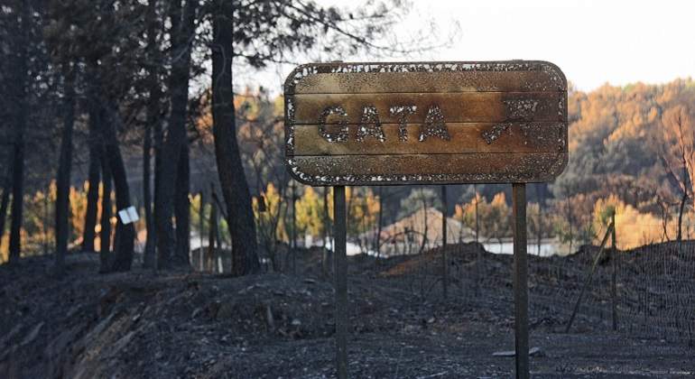 770-x-420-Area-calcinada-por-un-incendio-Forestal-EFE.jpg