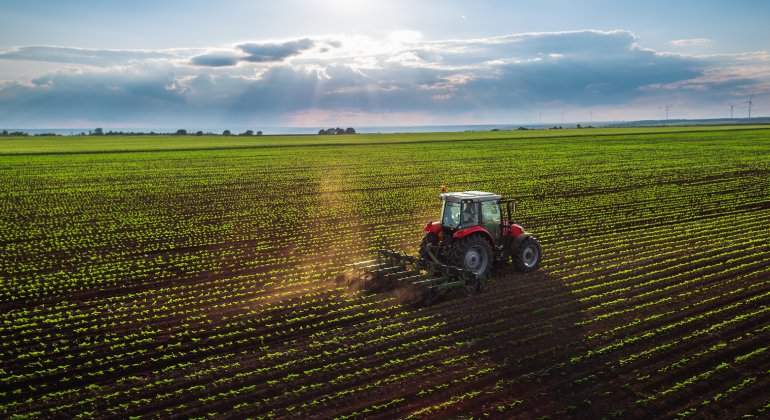 agricultura.jpg