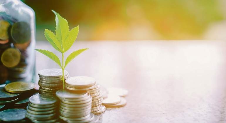 monedas-ahorro-istock-770x420.jpg
