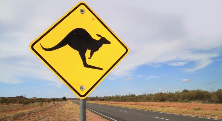 australia-senal-canguro.jpg