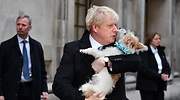 Johnson no irá a Davos para centrarse en el Brexit y acercarse a la clase trabajadora británica