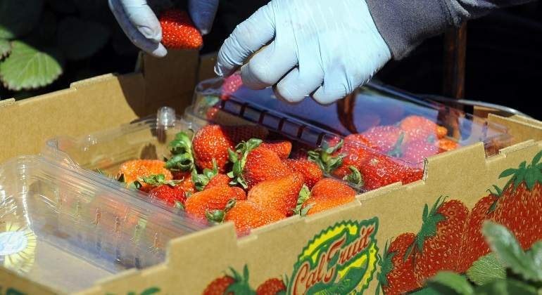 Fresas-Reuters.jpg