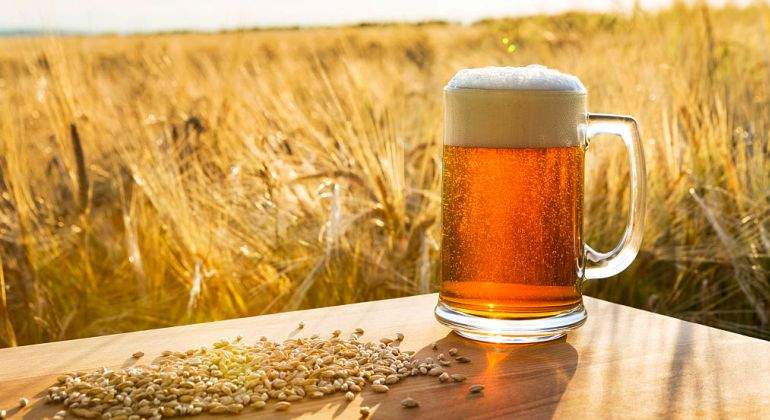 Cerveza-Cebada.jpg