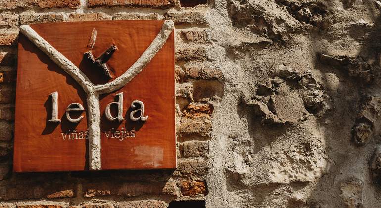 770x420-vino-guarda-leda.jpg