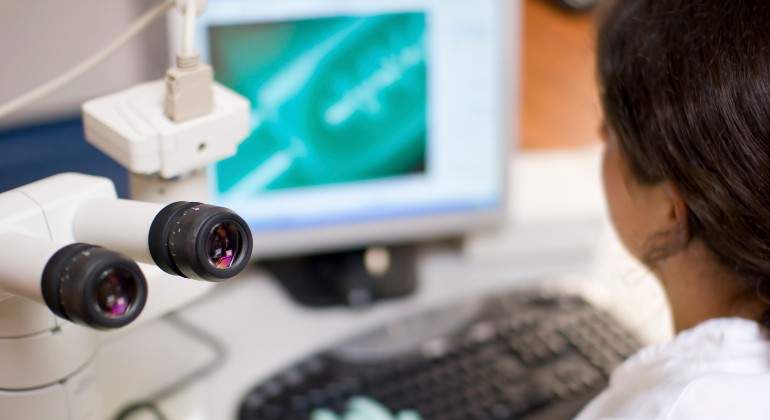 investigacion-2.jpg