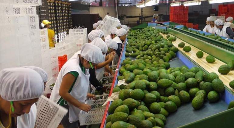 Agroexportaciones