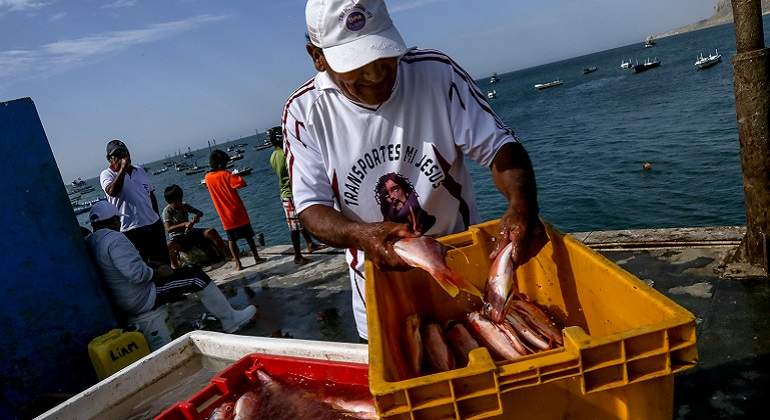 pesca_covid.jpg