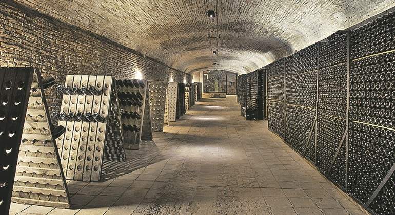 codorniu-bodega-especial-centenarias.jpg