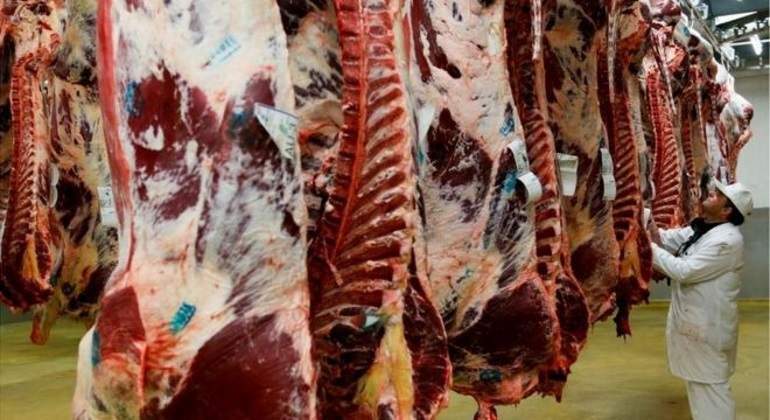 carne