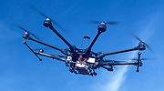 Drones, big data e ingeniería genética: tecnología punta para reforestar