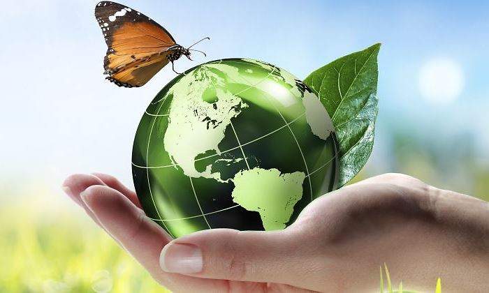 mundo-verde-770-istock.jpg