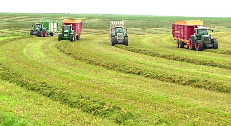 alfalfa-recogida-tractor-770.jpg