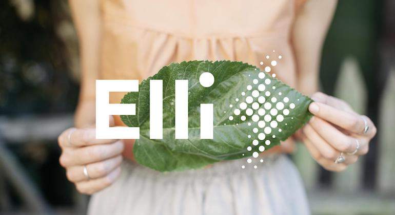 elli-grupo-vw-1.jpg