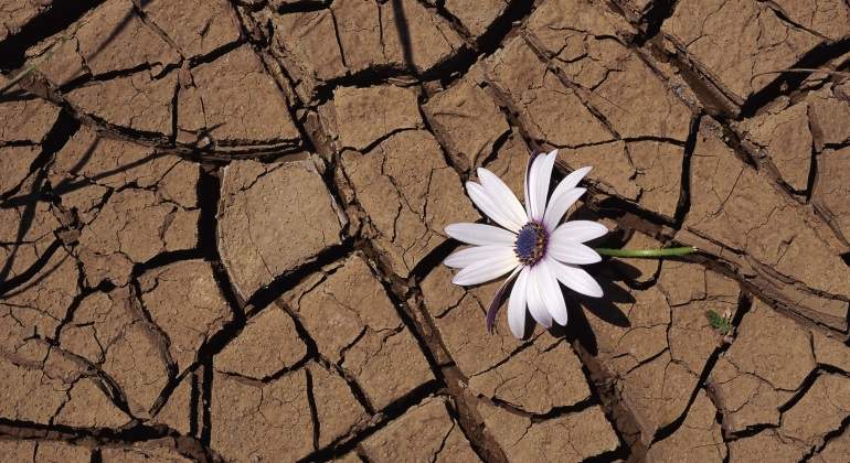 cambio-climatico-sequia-eE.jpg