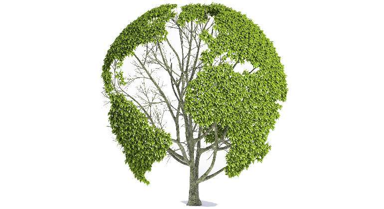 arbol-mundo.jpg