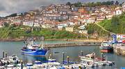 Central Lechera Asturiana: energías renovables y ganaderías sostenibles