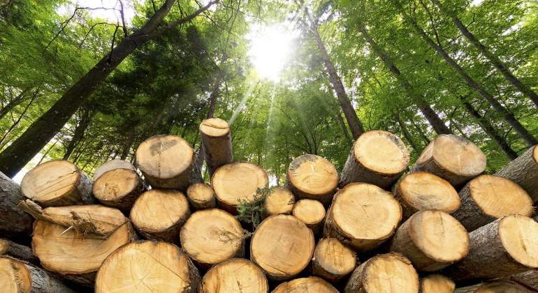 770x420_Madera.jpg