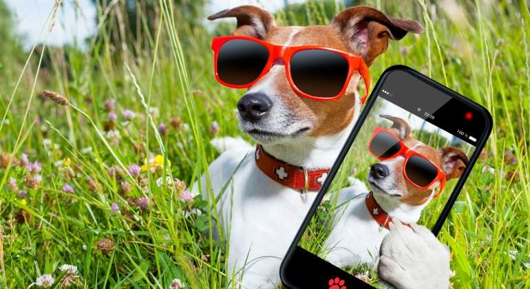 selfie-perro-dreamstime.jpg