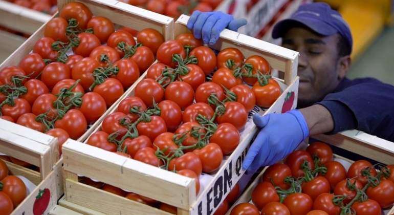 tomate-estados-unidos.jpg
