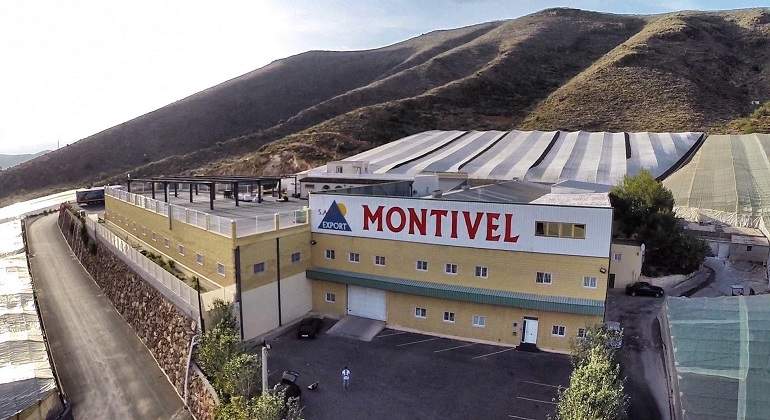 Fachada-Montivel.jpg
