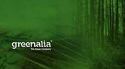 Greenalia cierra 2021 con unas ganancias de 12 millones de euros