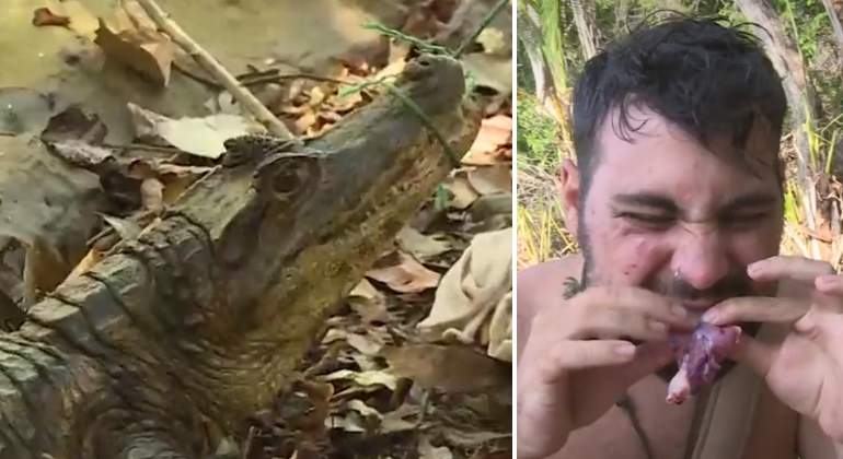 la-isla-caiman.jpg