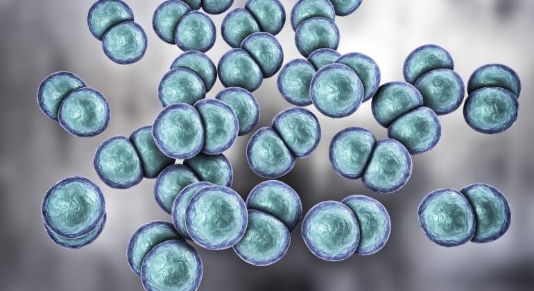 gonorrea-bacterias-dreamstime.jpg