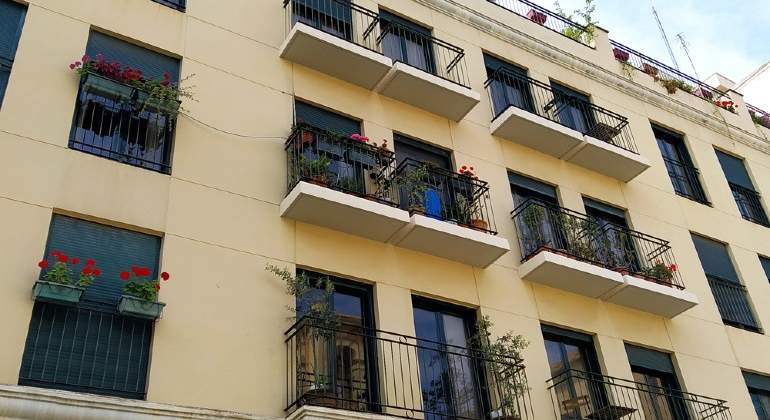 plantas-balcones.jpg