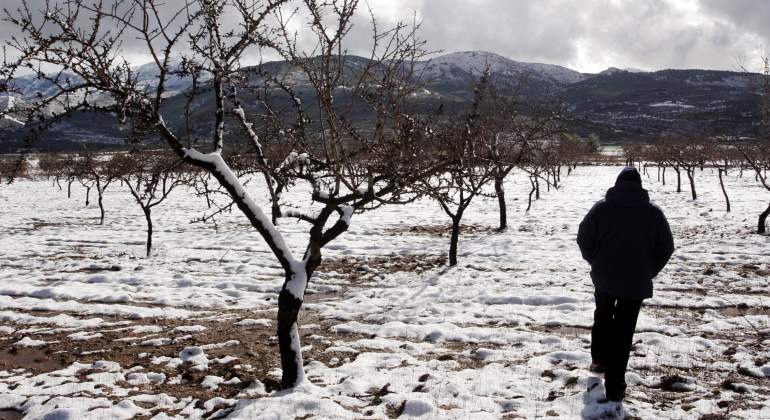 nieve-agricultura-cultivos-helados-reuters.jpg