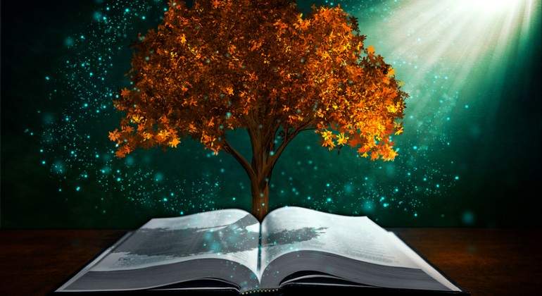 estudiar-dreamstime.jpg