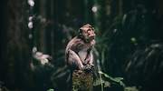 Las fotos más espectaculares de los premios mundiales de Sony (y la representación española)