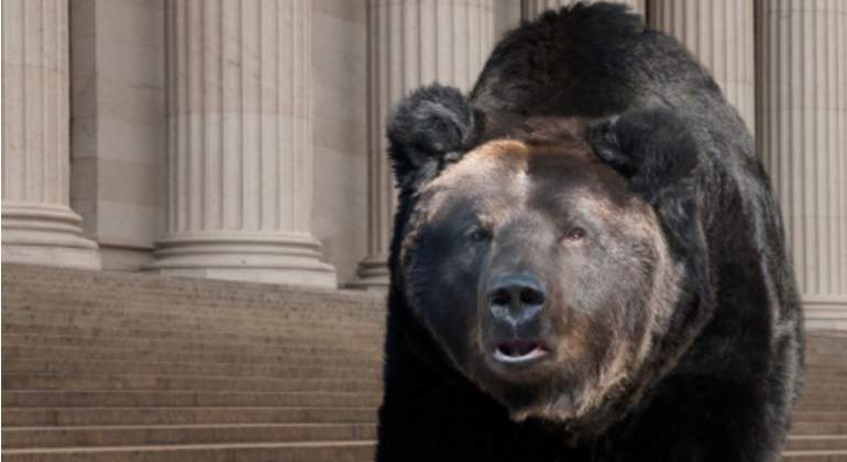 wall-street-oso.jpg