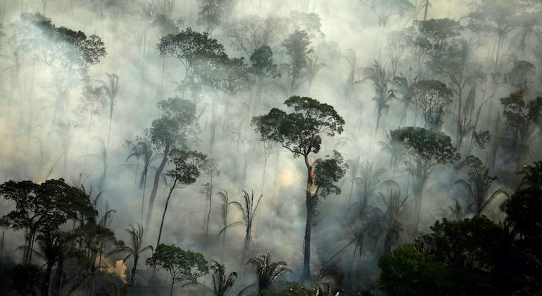 Incendio-Brasil.JPG