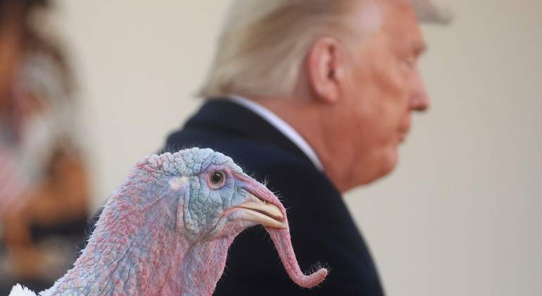 donald-trump-eeuu-indulto-pavo-accion-de-gracias-thanksgiving-25noviembre2020-reuters-770x420.jpg