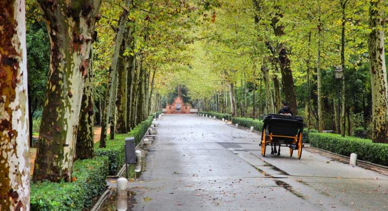 parque-maria-luisa.jpg