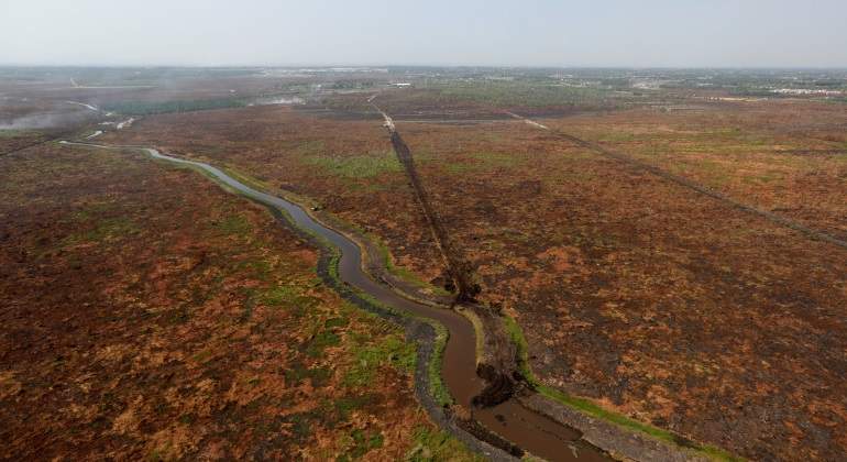 amazonas-deforestacion-incendios-reuters-770x420.jpg