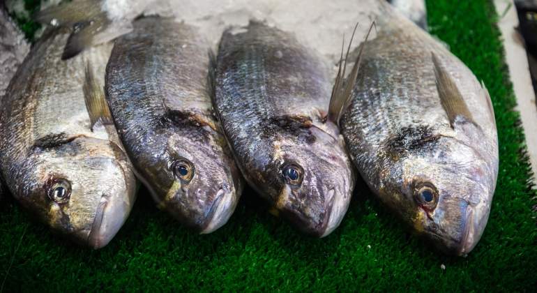 pescado-dreamstime.jpg