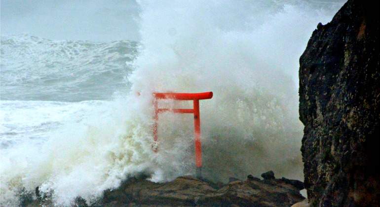 Tsunami-japon-Fukushima-770-reuters.jpg