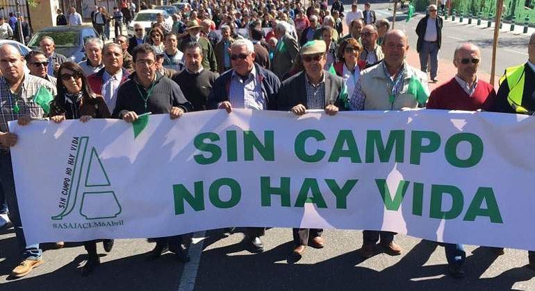 manifestacion