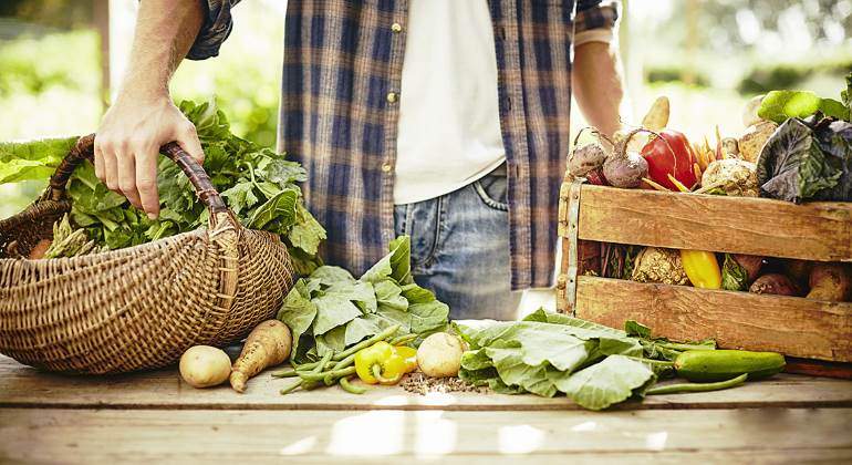 verduras-bio-770-istock.jpg