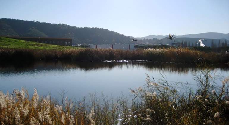 can-fenosa-laguna.JPG