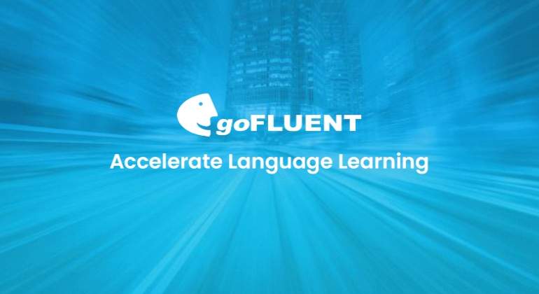 goFLUENT-1.jpg
