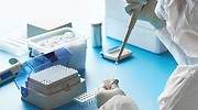 Test PCR, serológicos y de antígenos: estas son sus diferencias y el papel que juegan en la lucha contra el coronavirus