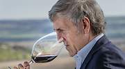 El vino español ante el desastre: Si tuviéramos que subir el precio de nuestros vinos, nos saldríamos del mercado