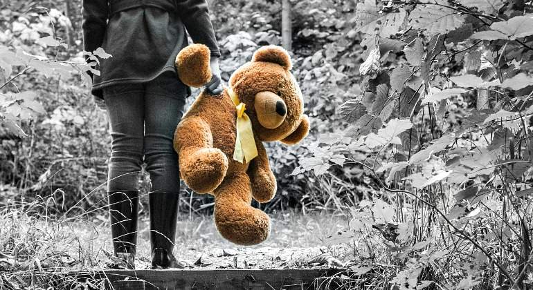 oso-peluche-bn-770-pixabay.jpg