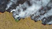 La deforestación en la Amazonia brasileña alcanza el mayor nivel de la última década