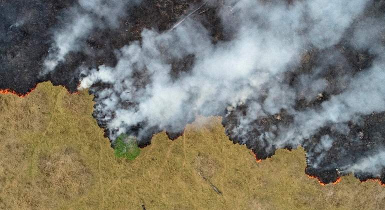 770-420-reuters-amazonas-deforestacion.jpg