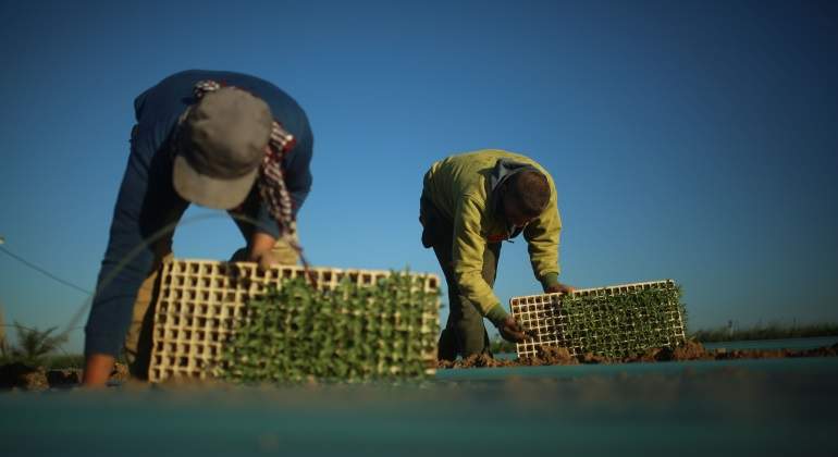 agricultores-gaza-agua-getty.jpg