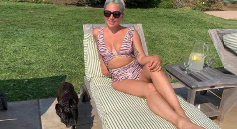 lady-gaga-perros-detienen-paseador-770.jpg